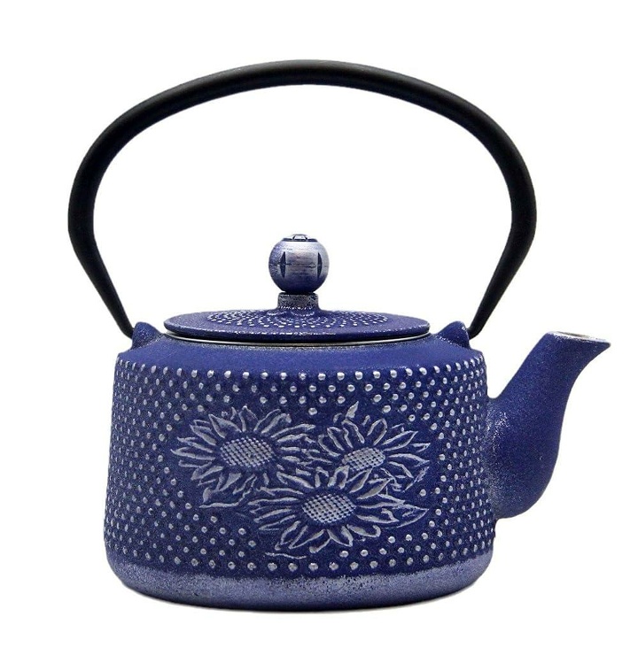 Cast Iron Teapot with Sunflower Pattern,SECHUDO Tea Kettle C - 티몬